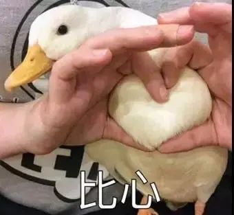 银河玖乐官方下载新手怎么玩