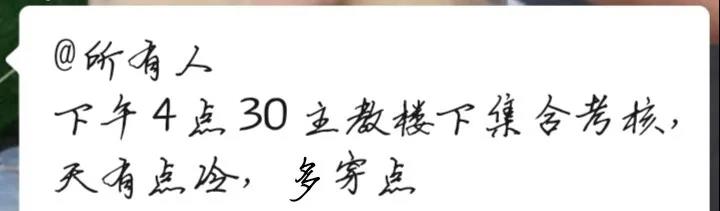 栏目用于追新